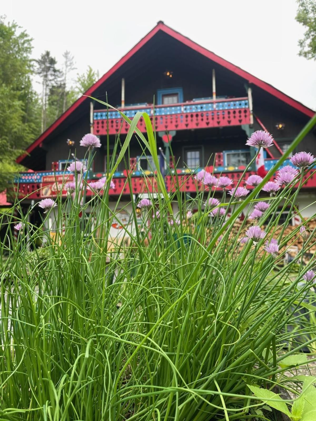Grunberg Haus Inn & Cabins 沃特伯里 外观 照片